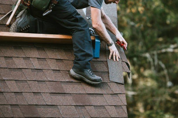 Quick and Trustworthy Emergency Roof Repair Services in Apple Valley, MN